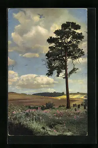 Künstler-AK Photochromie Nr.: 2240, Rote Wiesenblumen vor Feld mit Strohpuppen