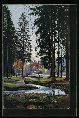 Künstler-AK Photochromie Nr.: 4316, Waldpartie mit Bachlauf