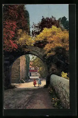 Künstler-AK Photochromie Nr.: 4201, Strassenpartie mit Steintorbogen im Herbst