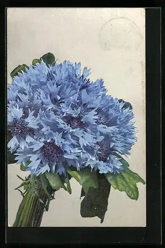 Künstler-AK Photochromie Nr.: 421, Blauer Kornblumenstrauss