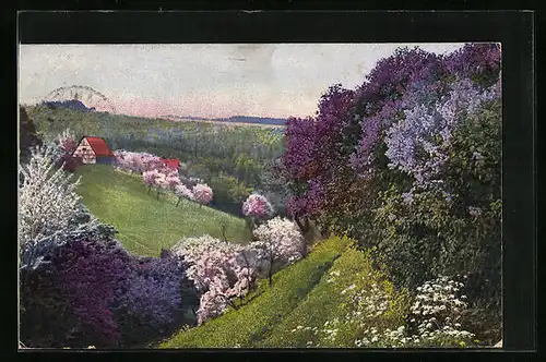 Künstler-AK Photochromie Nr. 4289: Landschaftsmotiv mit blühenden Bäumen