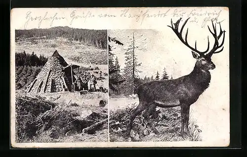 AK Steintipi und Hirsch in Landschaft