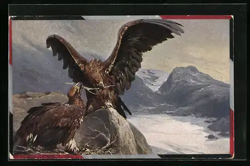 Künstler-AK Rangelndes Adlerpaar über felsigem Ufer