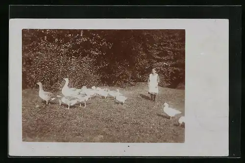 Foto-AK Mädchen mit einer Geflügelschar in einem Garten