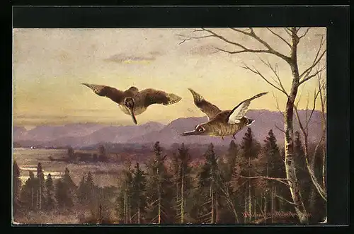Künstler-AK Zwei Zugvögel über einer waldigen Landschaft