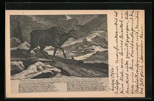 Künstler-AK Elch in felsiger Berglandschaft