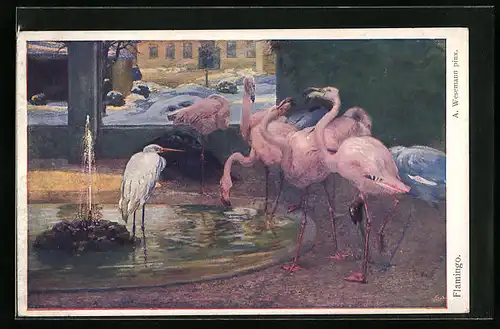 Künstler-AK Flamingos und ein Silberreiher an einem Springbrunnen