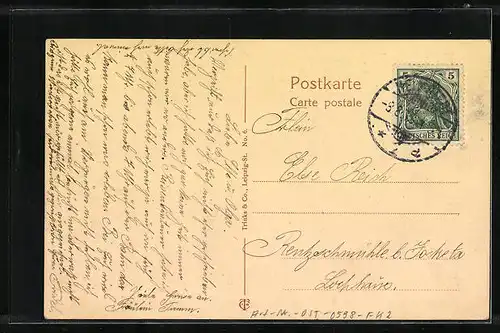 AK Helmstedt, Poststrasse mit Bäumen