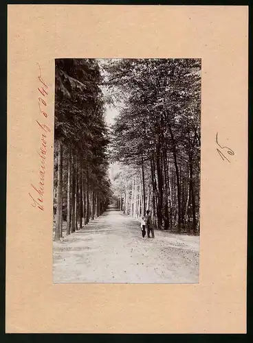 Fotografie Brück & Sohn Meissen, Ansicht Schmannewitz, Hakenweg vor dem Weissen Hause