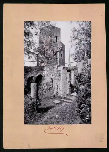 Fotografie Brück & Sohn Meissen, Ansicht Stolpen, Grab der Gräfin Cosel