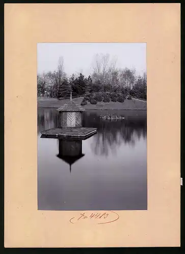 Fotografie Brück & Sohn Meissen, Ansicht Wurzen, Teich mit Vogelinsel im Stadtpark