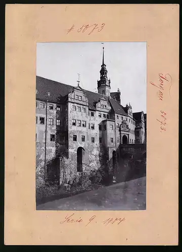 Fotografie Brück & Sohn Meissen, Ansicht Torgau, Schloss Hartenfels mit Bärengarten