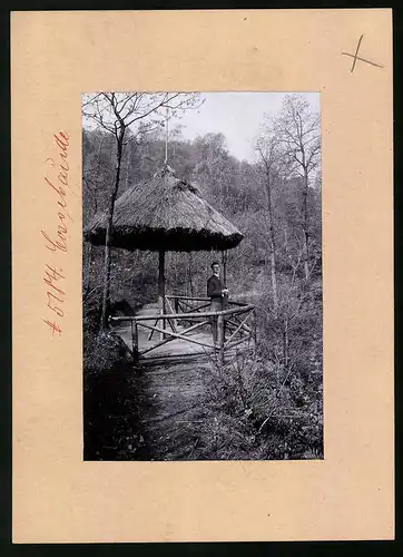 Fotografie Brück & Sohn Meissen, Ansicht Cossebaude, Pilz im Park, Pavillon