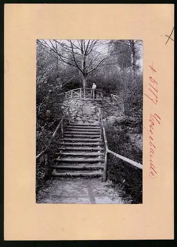 Fotografie Brück & Sohn Meissen, Ansicht Cossebaude, Aufgang zum Park des Verschönerungsvereins