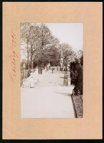 Fotografie Brück & Sohn Meissen, Ansicht Freiberg / Sachsen, Freitreppe mit Schwedendenkmal