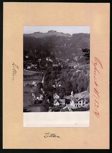Fotografie Brück & Sohn Meissen, Ansicht Oybin, Villa am Stadtrand