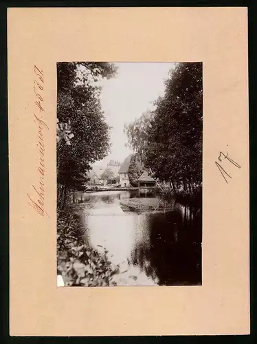 Fotografie Brück & Sohn Meissen, Ansicht Schmannewitz, Gewässer vor der Mühle