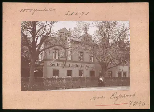 Fotografie Brück & Sohn Meissen, Ansicht Meissen i. Sa., Partie am Restaurant Grüne Laube im Triebischtal