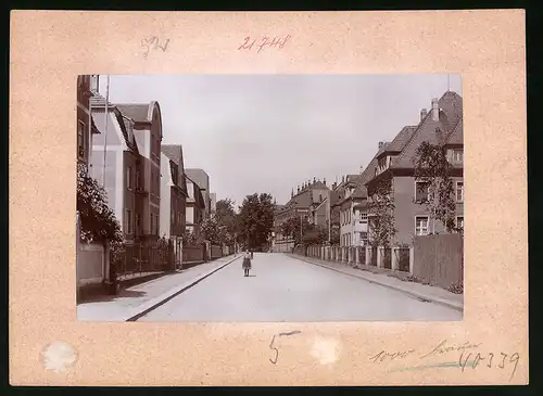 Fotografie Brück & Sohn Meissen, Ansicht Neustadt i. Sa., Blick in die Königstrasse mit Wohnhäusern