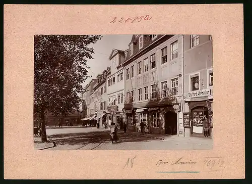 Fotografie Brück & Sohn Meissen, Ansicht Naumburg a. Saale, Markt mit Uhrmacher Otto Hardt, Schirmfabrik 