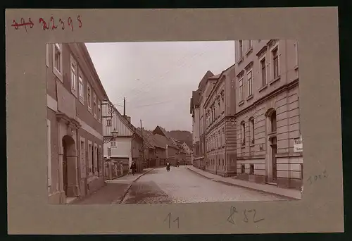 Fotografie Brück & Sohn Meissen, Ansicht Sebnitz, Hertigswalder Strasse, Blumengeschäft W. Zeitschel & Co.