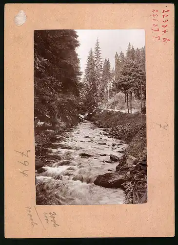 Fotografie Brück & Sohn Meissen, Ansicht Marienberg i. Sa., Blick auf den Bach im Natschungtal