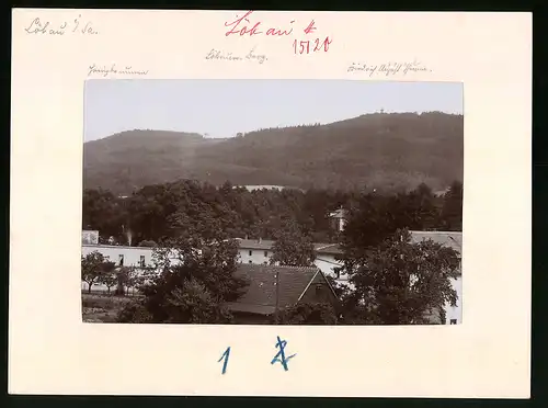 Fotografie Brück & Sohn Meissen, Ansicht Löbau, Löbauer Berg mit Honigbrunnen, Friedrich-August-Turm