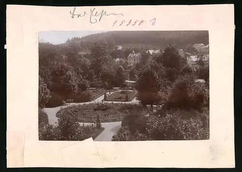 Fotografie Brück & Sohn Meissen, Ansicht Bad Elster, Blick auf den Rosengarten im Südpark
