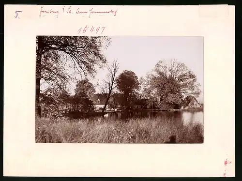 Fotografie Brück & Sohn Meissen, Ansicht Freiberg i. Sa., Partie am Hammerteich