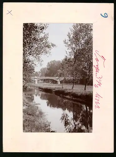 Fotografie Brück & Sohn Meissen, Ansicht Torgau a. Elbe, Blick im Glacis mit Brücke