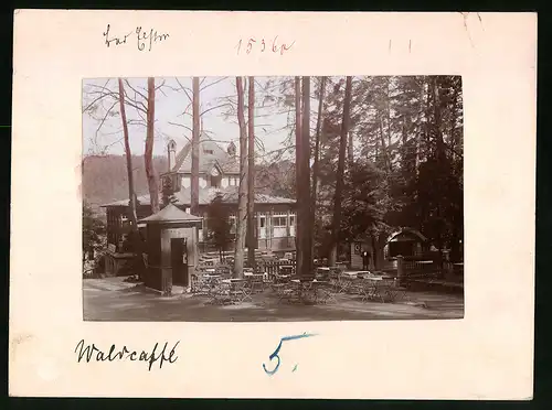 Fotografie Brück & Sohn Meissen, Ansicht Bad Elster, Restaurant Waldquelle