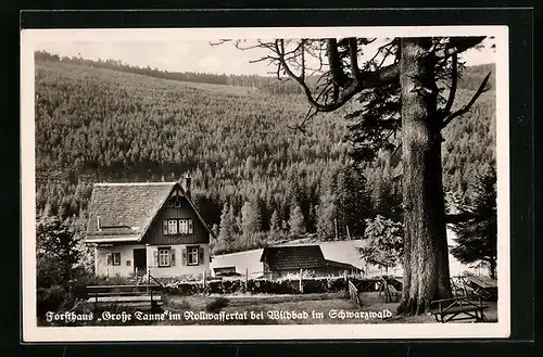 AK Wildbad, Gasthof Forsthaus Grosse Tanne im Rollwassertal