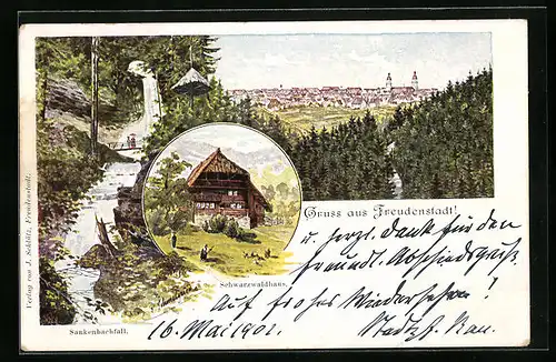 Künstler-AK Freudenstadt, Teilansicht, Sankenbachfall, Schwarzwaldhaus