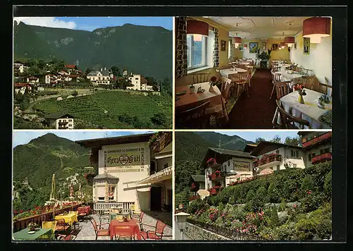 AK Dorf Tirol /Meran, Pension Herzgütl, Schlossweg 13, Ort am Weinhang