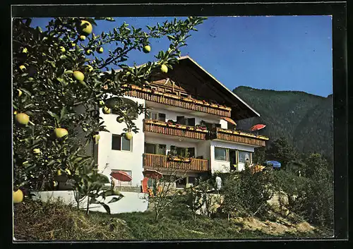 AK Schenna /Meran, Pension Graf Hartwig, St. Georgenstr.38 b, Terrasse vorm Haus