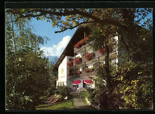 AK Schenna /Meran, Pension Garni Winzerhöhe mit Sonnenterrasse