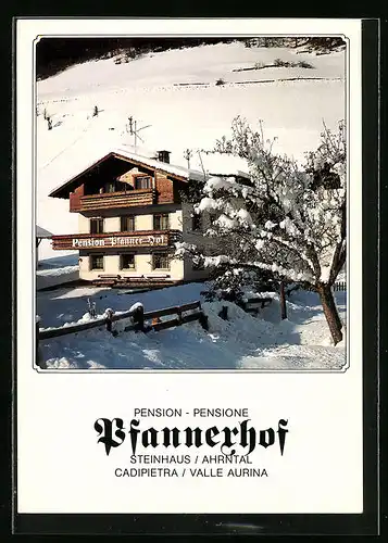 AK Steinhaus /Ahrntal, Pension Pfannerhof im Winter