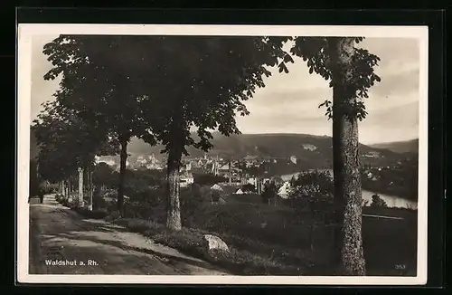 AK Waldshut a. Rh., Ortsansicht von einer Strasse aus