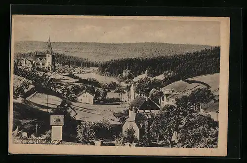 AK Tannenbergsthal i. Vogtl., Ortspartie aus der Vogelschau