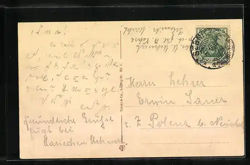 AK Sebnitz i. Sa., Stadtansicht aus der Vogelschau