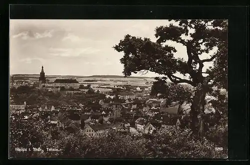 AK Weida i. Thür., Ortsansicht aus der Vogelschau