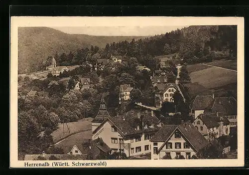 AK Herrenalb /Württ. Schwarzwald, Ortsansicht aus der Vogelschau
