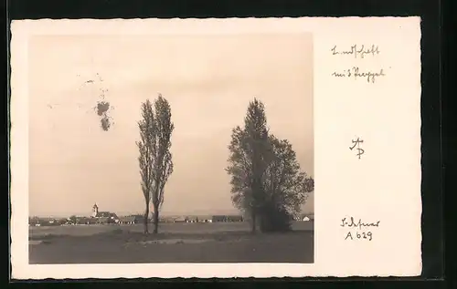 Foto-AK Adalbert Defner: Pappeln vor einem Ort