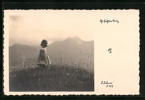 Foto-AK Adalbert Defner: Ihr höchster Berg