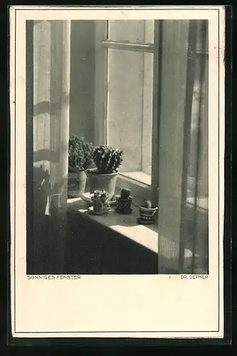 Foto-AK Adalbert Defner: Sonniges Fenster