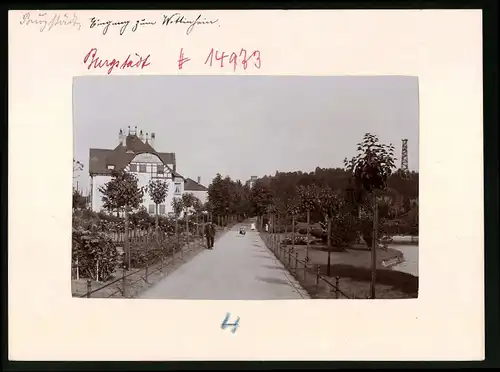 Fotografie Brück & Sohn Meissen, Ansicht Burgstädt, Eingang zum Wettinhain mit Villa