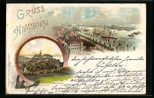 Lithographie Hamburg, Hafenpartie, Blankenese aus der Vogelschau