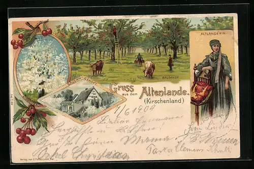 Lithographie Jork, Baumhof mit Bauerngehöft in den Altenlanden, Kirchbaum