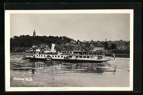 AK Dampfer Schönbrunn auf dem Wallsee in Niederösterreich