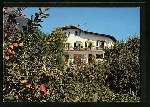 AK Kaltern /Bozen, Pension Garni Rosenheim, Klavenz 12, Teilansicht hinter Apfelbaum